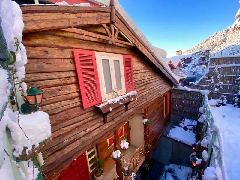 Отель Meenabagh Villa Rooms & Cafe Шимла